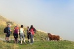 untitled-11