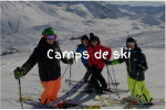 cv-alpes-ski