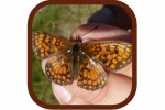 eco-aventures-copie